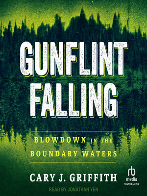 cover image of Gunflint Falling